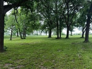 MLS #20920672 img 0