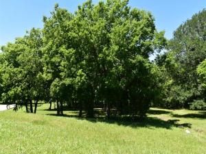 MLS #20927404 img 0