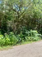 MLS #20934929 img 0