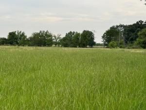 MLS #20936598 img 0