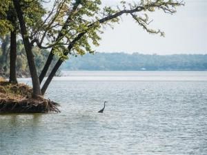 MLS #20936700 img 0