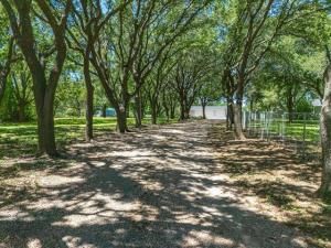 MLS #20937998 img 0