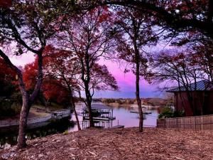 MLS #20939107 img 0