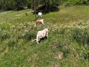 MLS #20942798 img 0