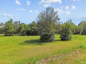 MLS #20954830 img 0