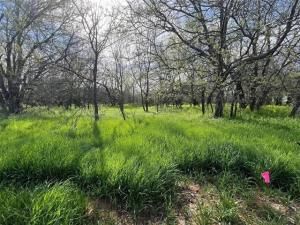 MLS #20964434 img 0