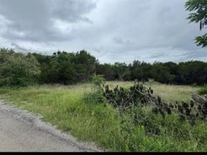 MLS #20967061 img 0