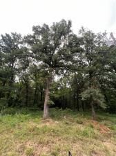 MLS #20969963 img 0