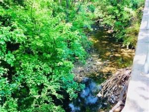 MLS #20979752 img 0