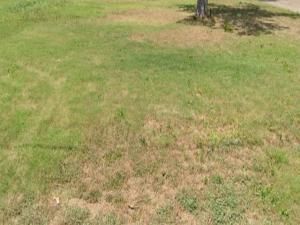 MLS #227905 img 0