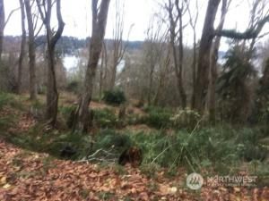 MLS #NWM2057660 img 0