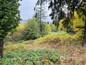 MLS #NWM2172505 img 0