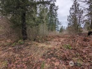 MLS #NWM2192379 img 0