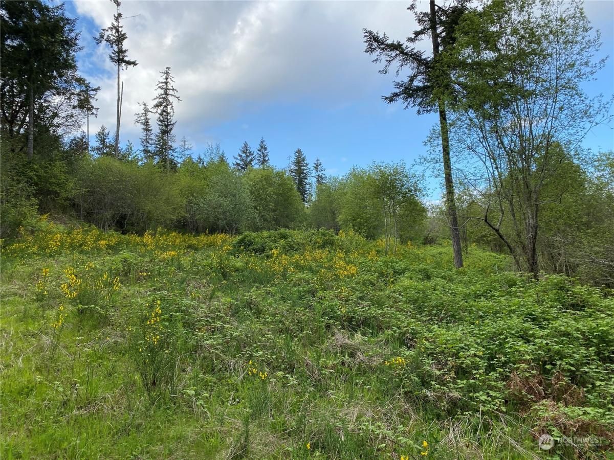 MLS #NWM2235041 img 0