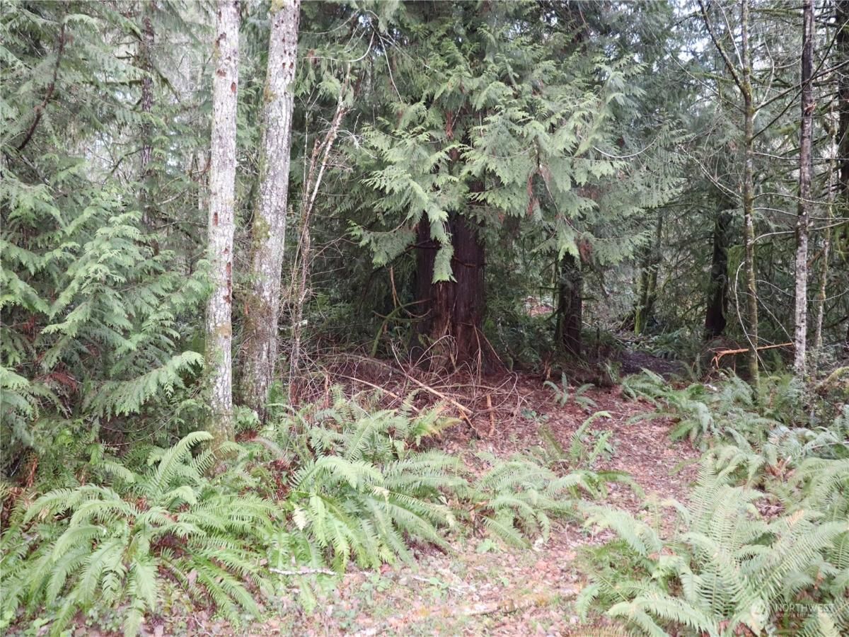 MLS #NWM2280366 img 0