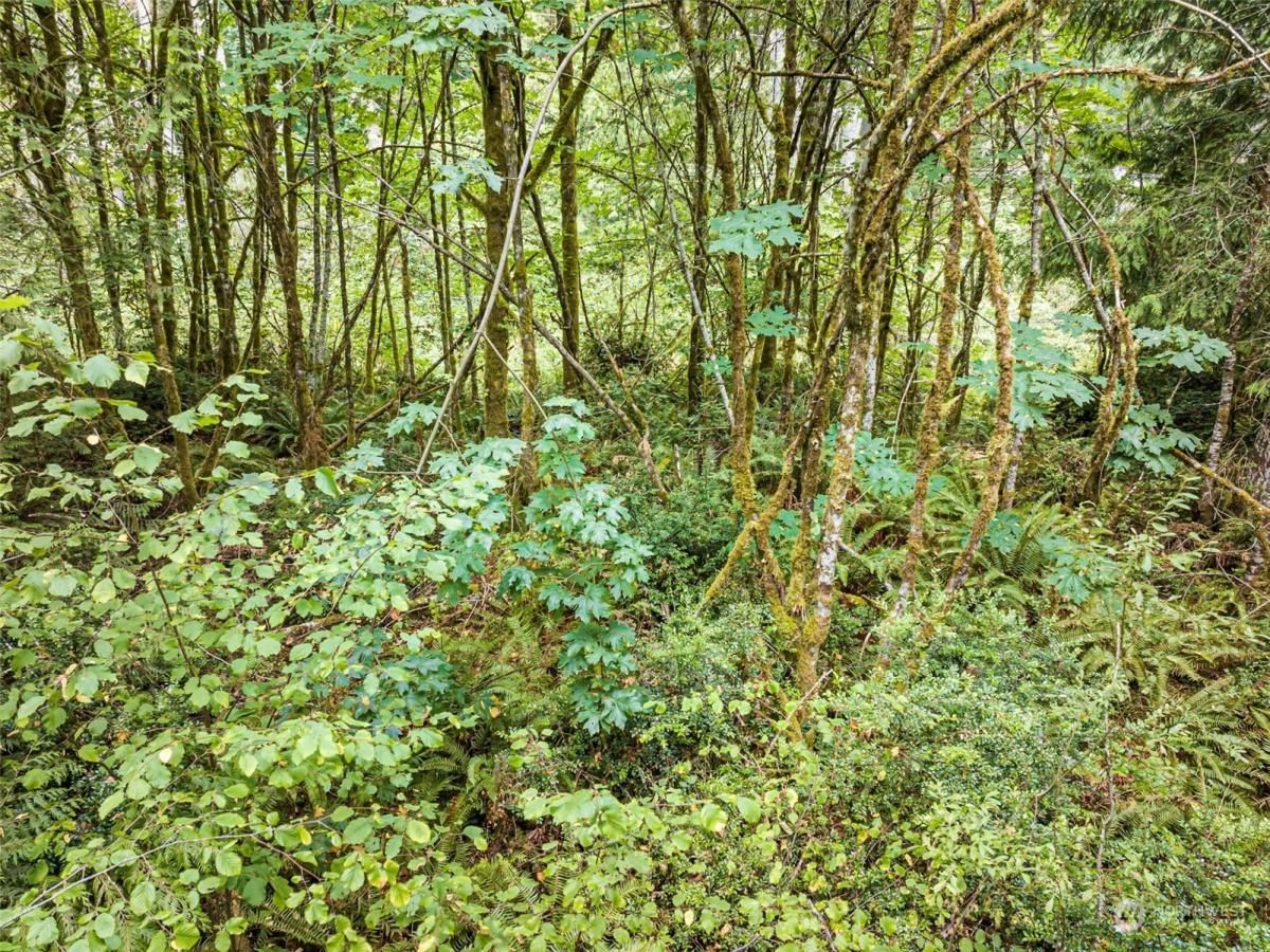 MLS #NWM2280366 img 0