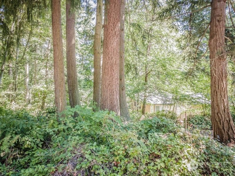 MLS #NWM2324871 img 0