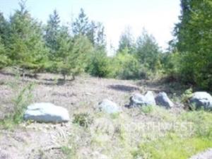 MLS #NWM2330759 img 0