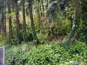 MLS #NWM2332138 img 0