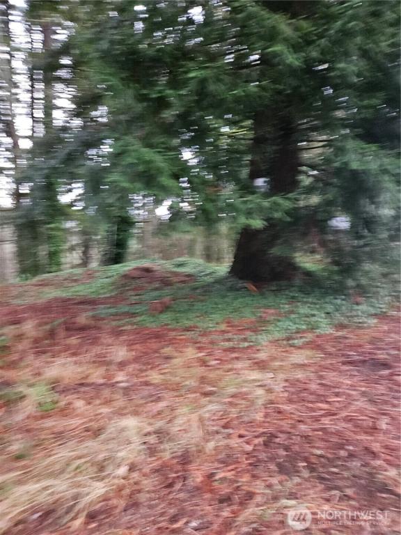 MLS #NWM2333883 img 0