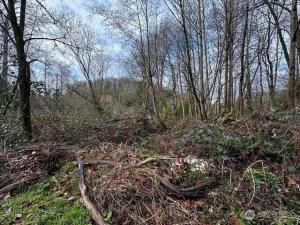 MLS #NWM2334639 img 0