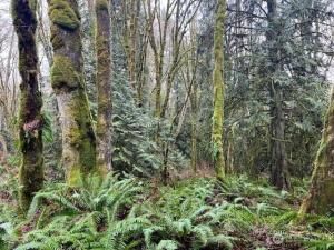 MLS #NWM2335680 img 0