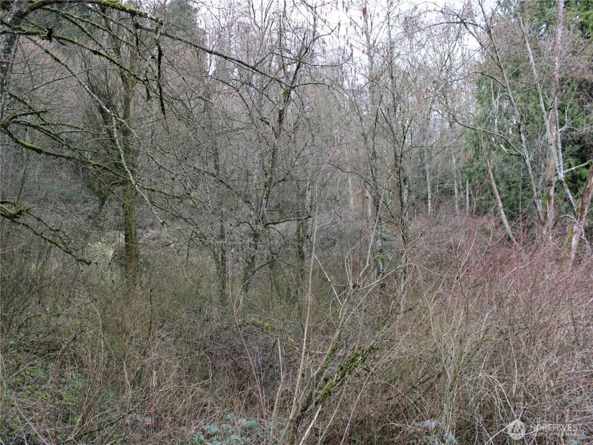 MLS #NWM2342631 img 0