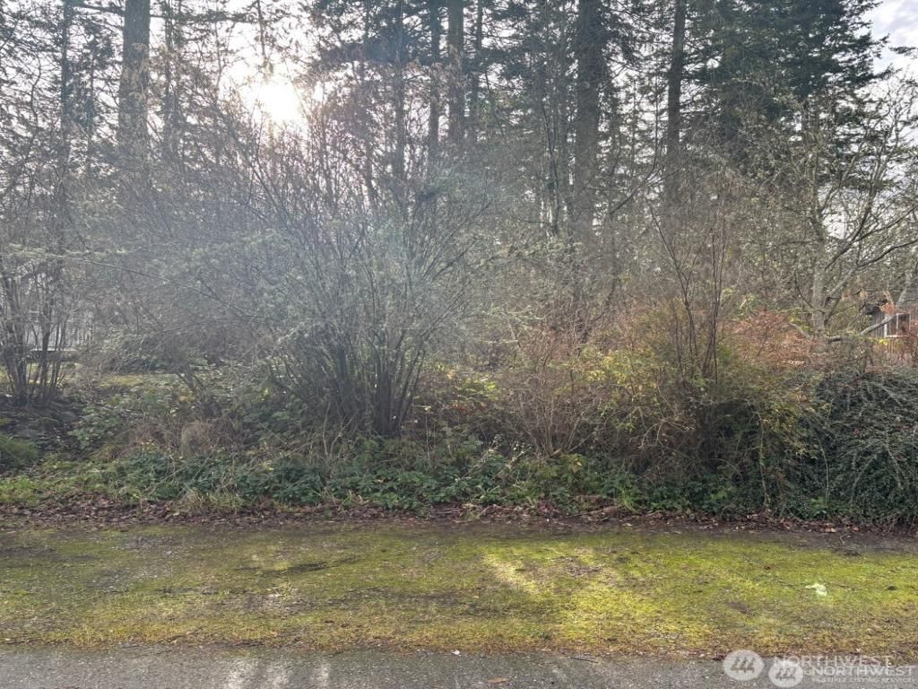 MLS #NWM2344572 img 0