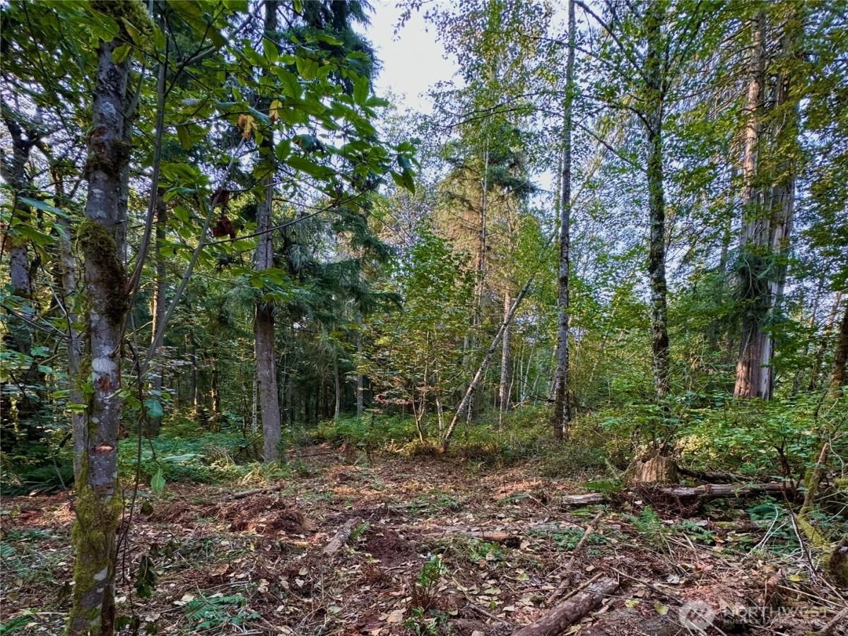 MLS #NWM2347988 img 0