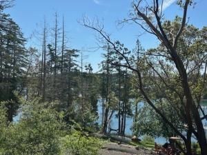 MLS #NWM2348377 img 0