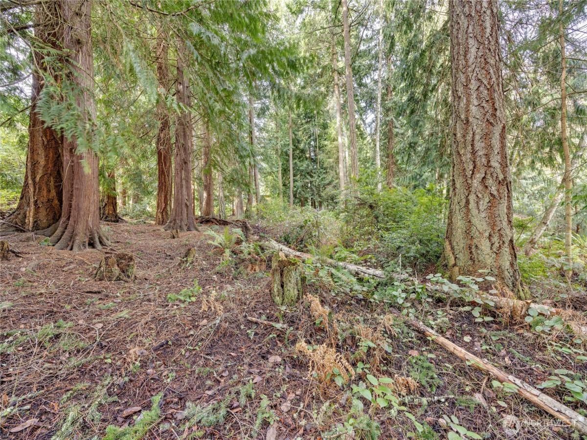 MLS #NWM2349673 img 0