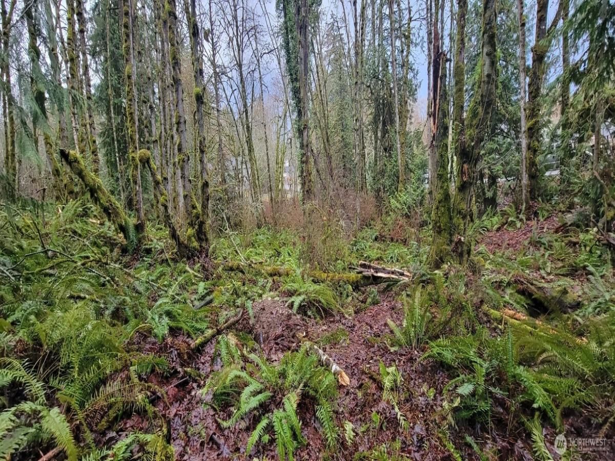 MLS #NWM2365944 img 0