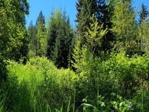 MLS #NWM2370470 img 0