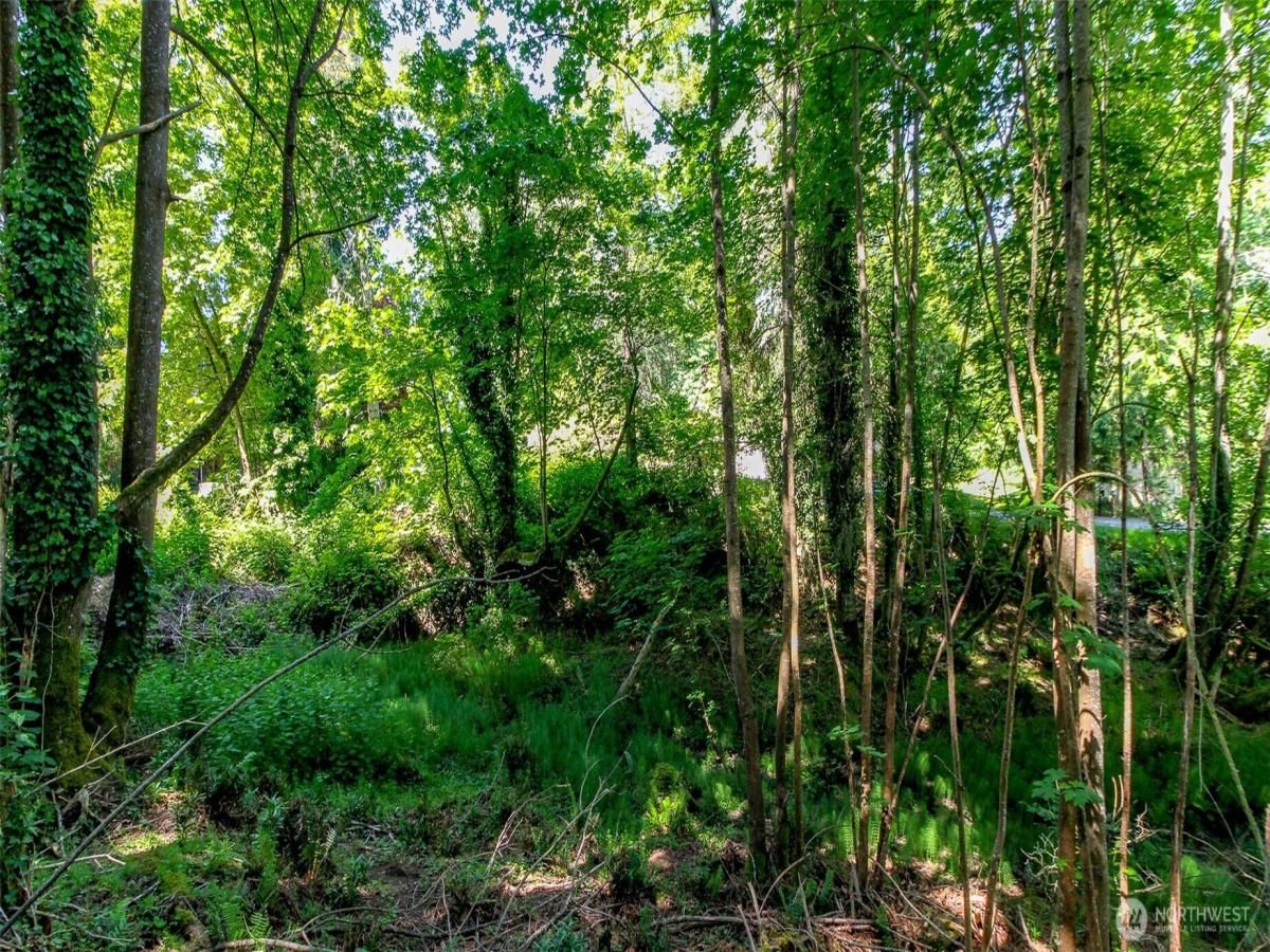 MLS #NWM2373603 img 0