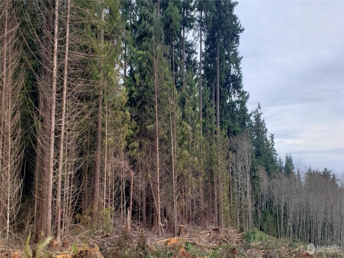 MLS #NWM2375489 img 0