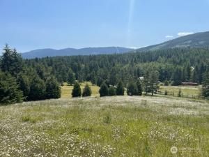 MLS #NWM2387327 img 0