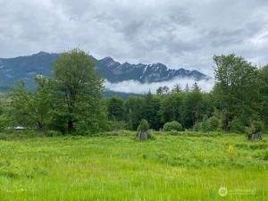 MLS #NWM2387694 img 0