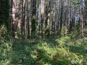 MLS #NWM2409912 img 0
