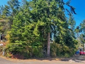 MLS #NWM2415119 img 0