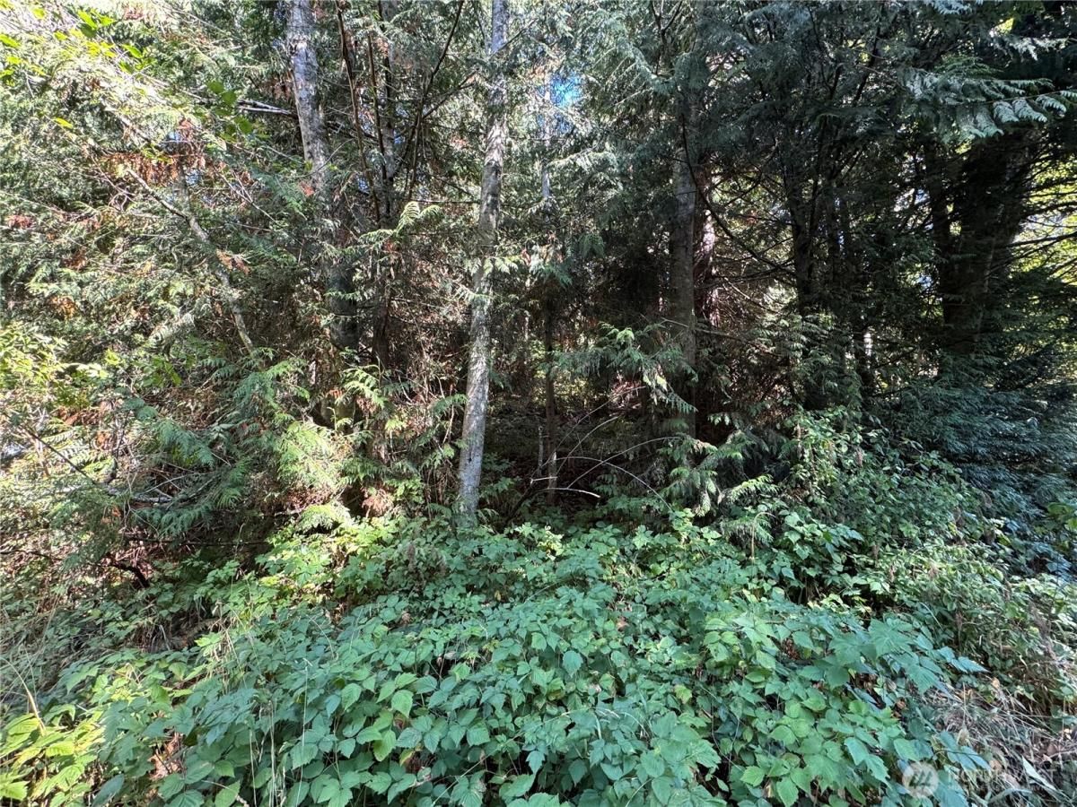 MLS #NWM2417099 img 0