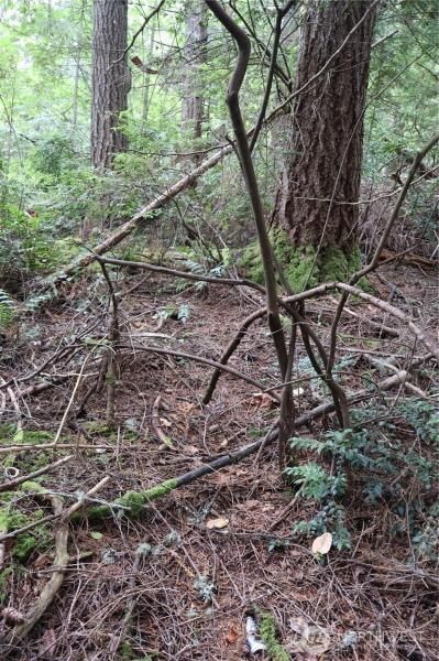 MLS #NWM2420941 img 0