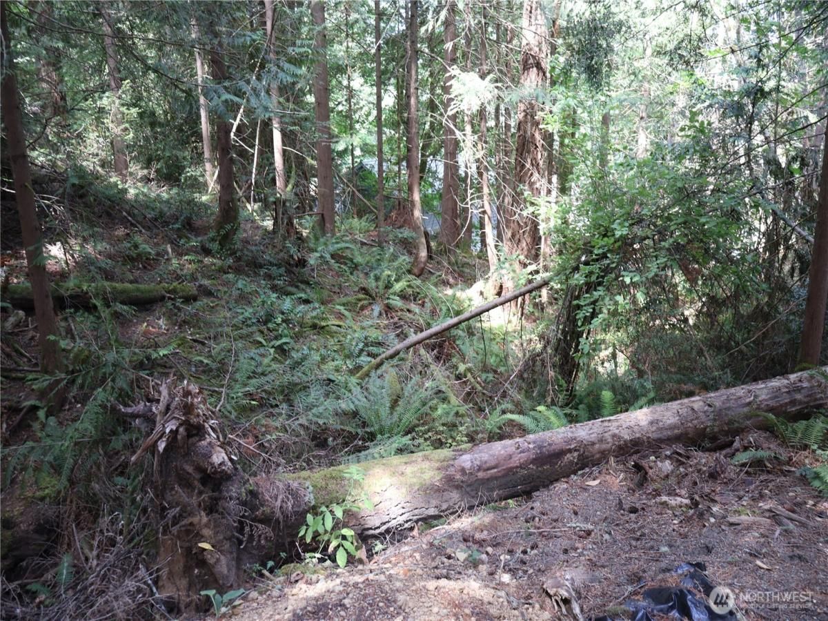 MLS #NWM2420941 img 0