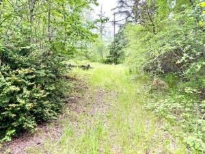 MLS #NWM2422095 img 0