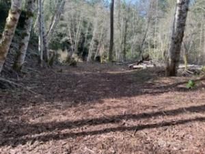 MLS #NWM2423491 img 0