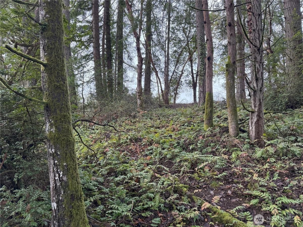 MLS #NWM2424433 img 0