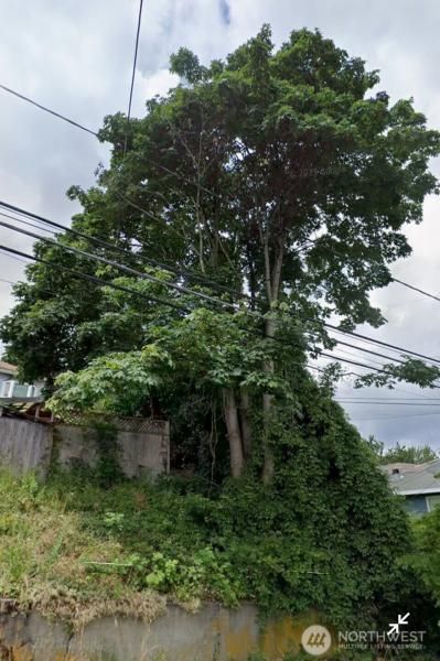 MLS #NWM2425549 img 0