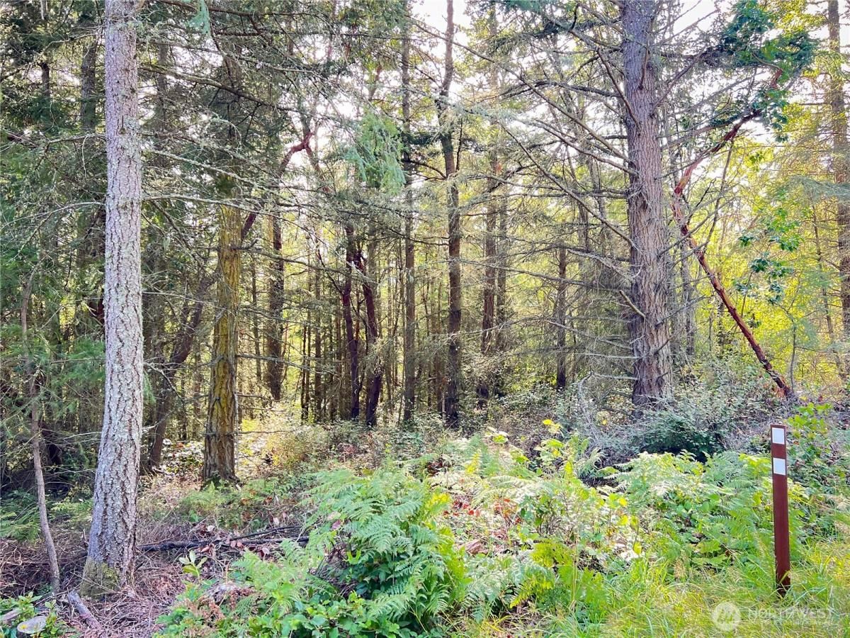 MLS #NWM2428885 img 0