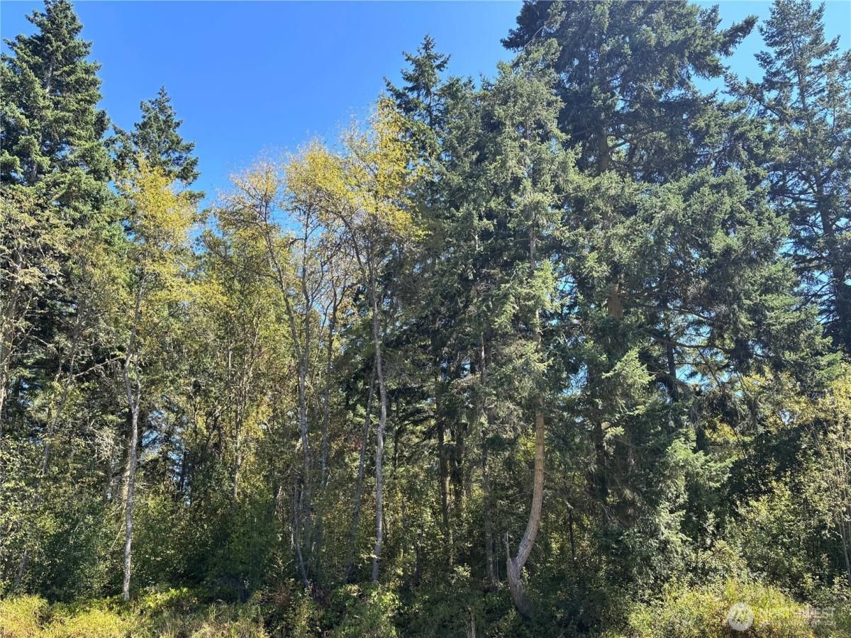 MLS #NWM2430035 img 0