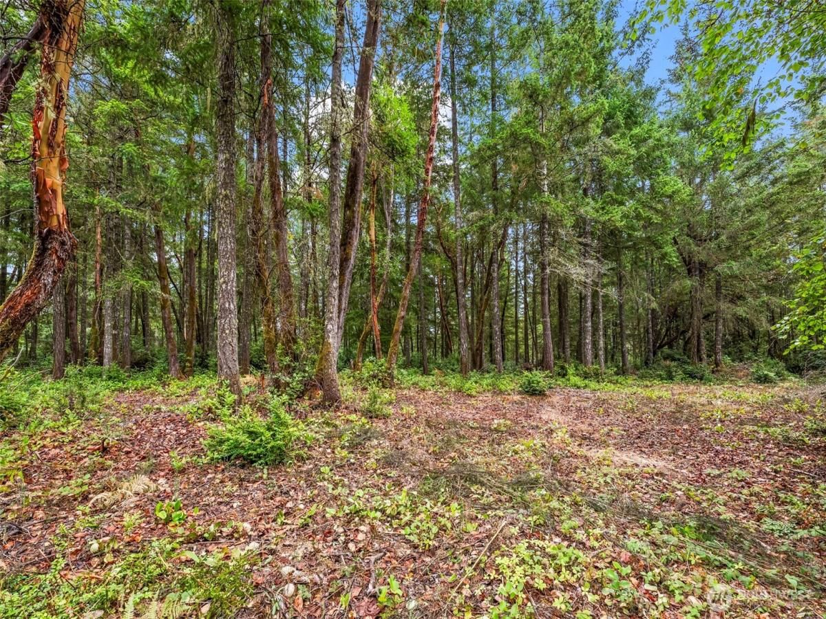 MLS #NWM2430413 img 0