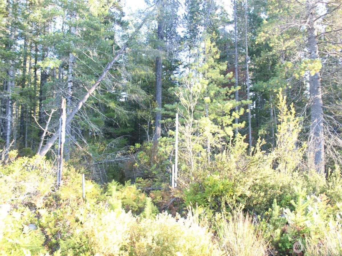 MLS #NWM2437484 img 0